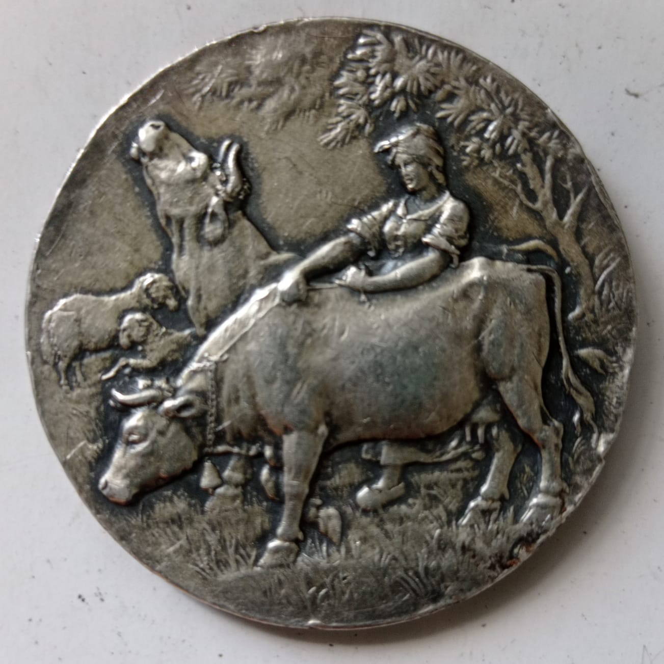 Need-Help-In-Identification-Of-This-Medal-Id:-19th-20th-Century-French-Agricultural-Medal